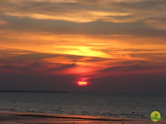 randonnée avec joëlettes,Cabourg, 2013