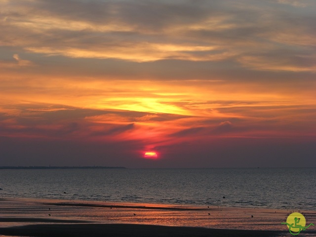 randonnée avec joëlettes,Cabourg, 2013