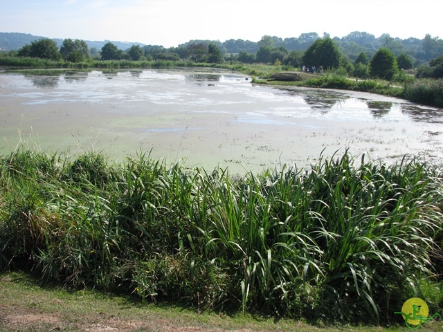 randonnée avec joëlettes, Cabourg, 2013