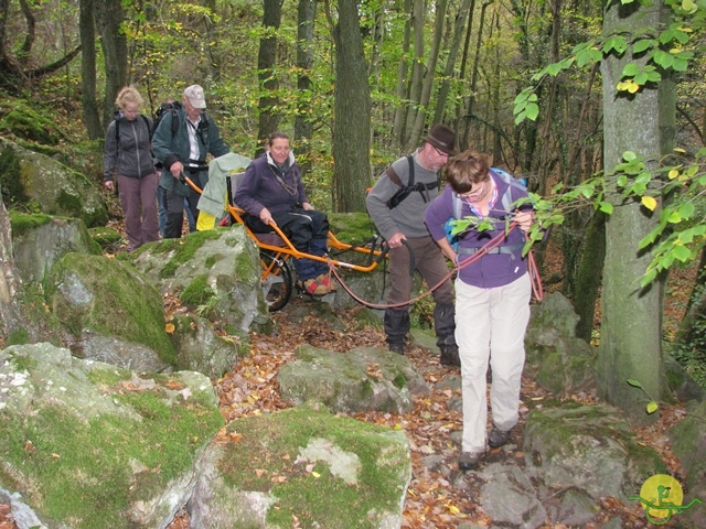 randonnée sportive avec joëlettes, Val St-Lambert, 2013