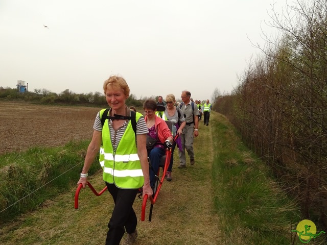 randonnée sportive avec joëlettes, Eghezée, 2014