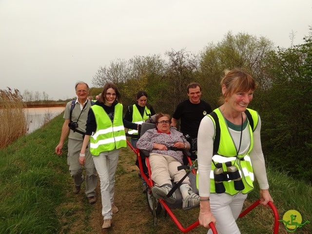 randonnée sportive avec joëlettes, Eghezée, 2014