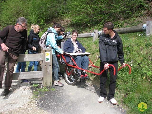 randonnée sportive avec joëlettes, Neufchateau, 2014