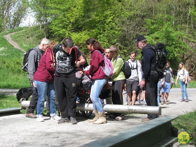 randonnée sportive avec joëlettes, Neufchateau, 2014