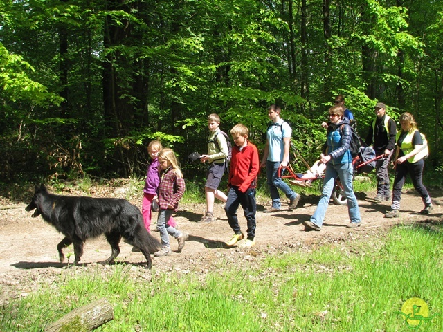 randonnée sportive avec joëlettes, Mozet, 2014