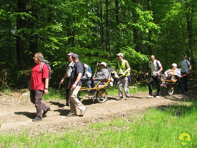 randonnée sportive avec joëlettes, Mozet, 2014