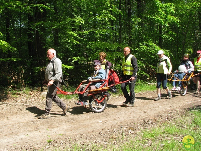 randonnée sportive avec joëlettes, Mozet, 2014