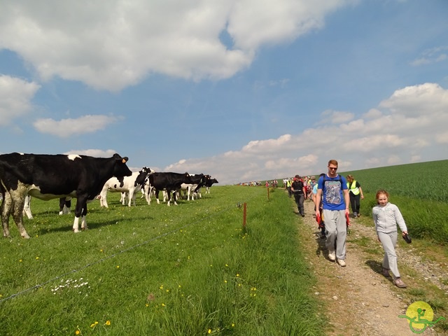 randonnée sportive avec joëlettes, Mozet, 2014