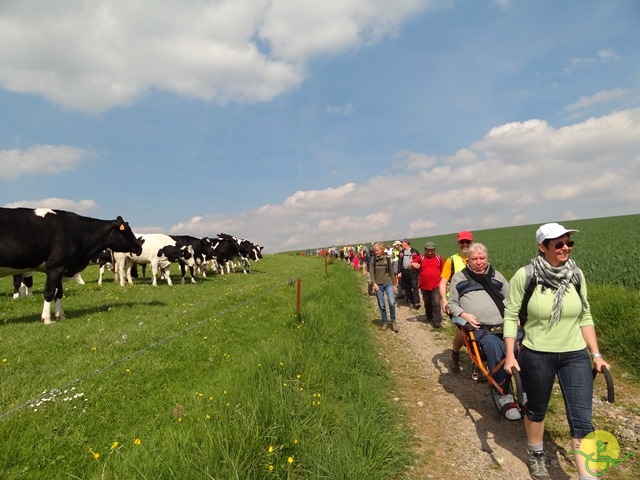 randonnée sportive avec joëlettes, Mozet, 2014