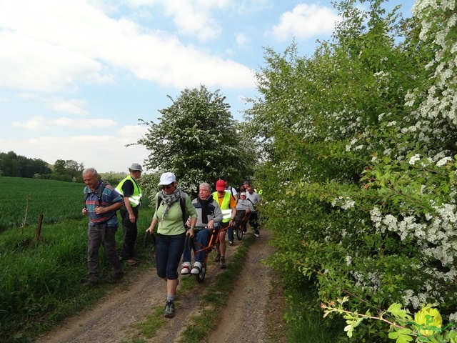 randonnée sportive avec joëlettes, Mozet, 2014