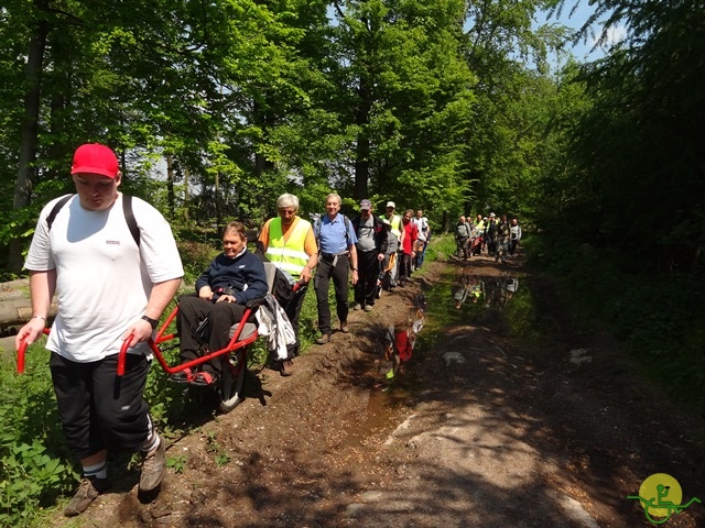 randonnée sportive avec joëlettes, Mozet, 2014