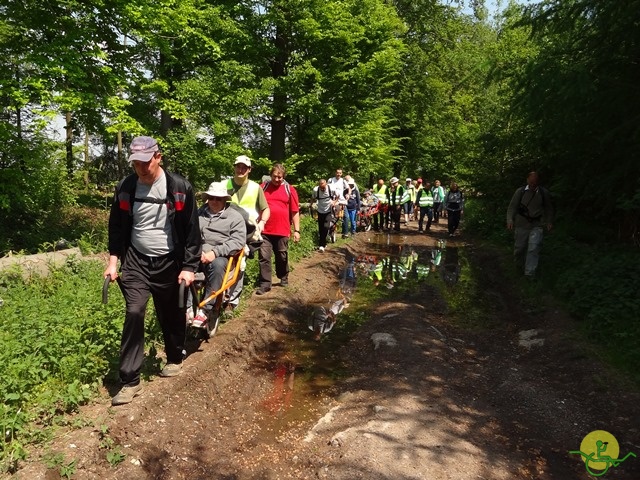 randonnée sportive avec joëlettes, Mozet, 2014