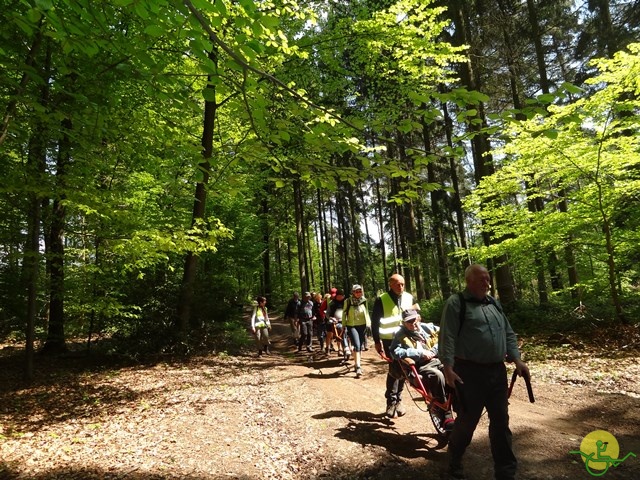 randonnée sportive avec joëlettes, Mozet, 2014