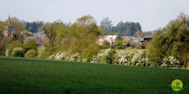 randonnée sportive avec joëlettes, Mozet, 2014