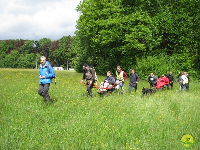 randonnée sportive avec joëlettes, Tilff, 2014