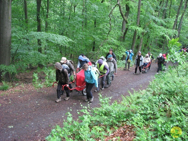 randonnée sportive avec joëlettes, Tilff, 2014