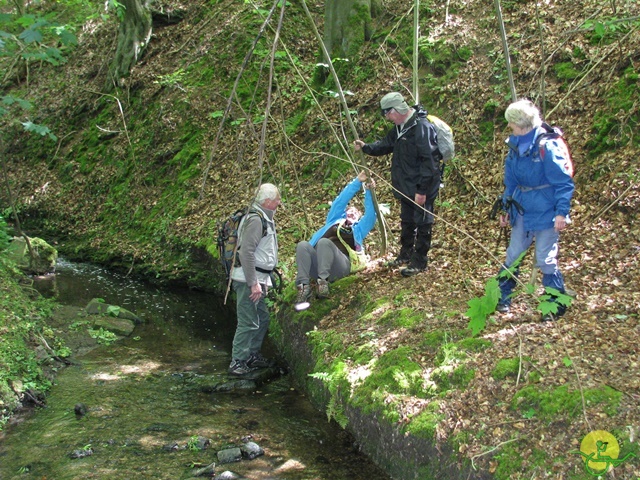 randonnée sportive avec joëlettes, Tilff, 2014