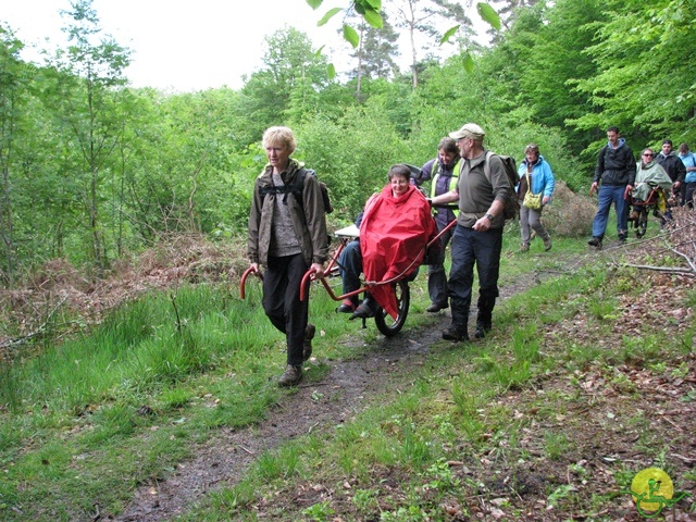 randonnée sportive avec joëlettes, Tilff, 2014