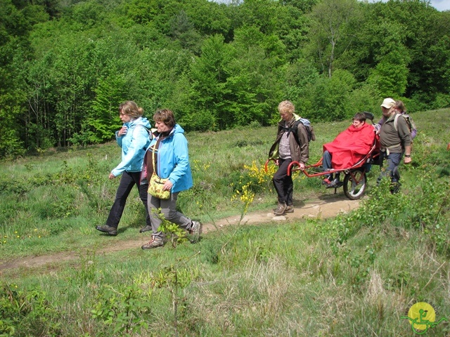 randonnée sportive avec joëlettes, Tilff, 2014