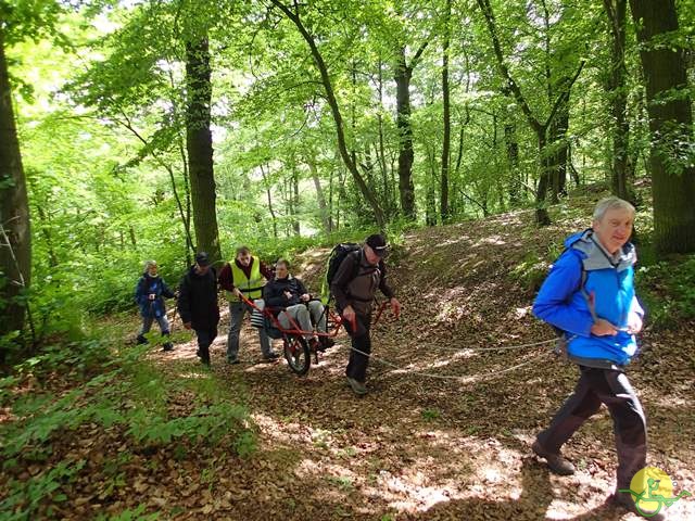 randonnée sportive avec joëlettes, Tilff, 2014