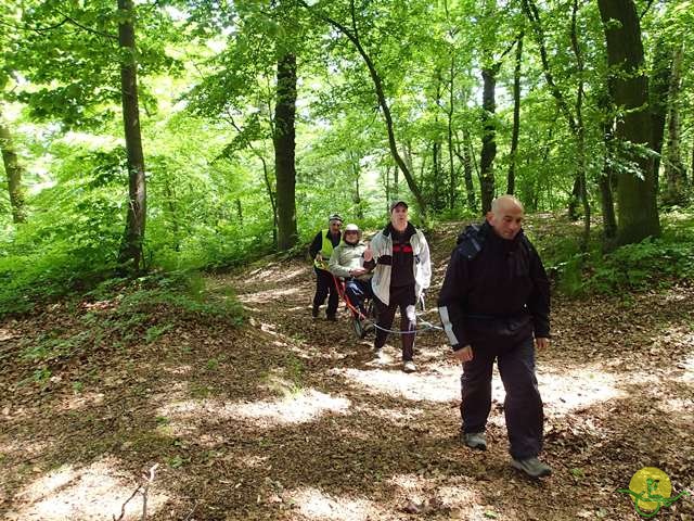 randonnée sportive avec joëlettes, Tilff, 2014