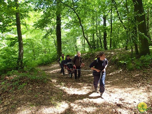 randonnée sportive avec joëlettes, Tilff, 2014