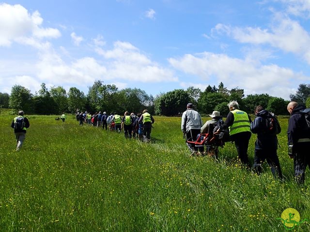 randonnée sportive avec joëlettes, Tilff, 2014