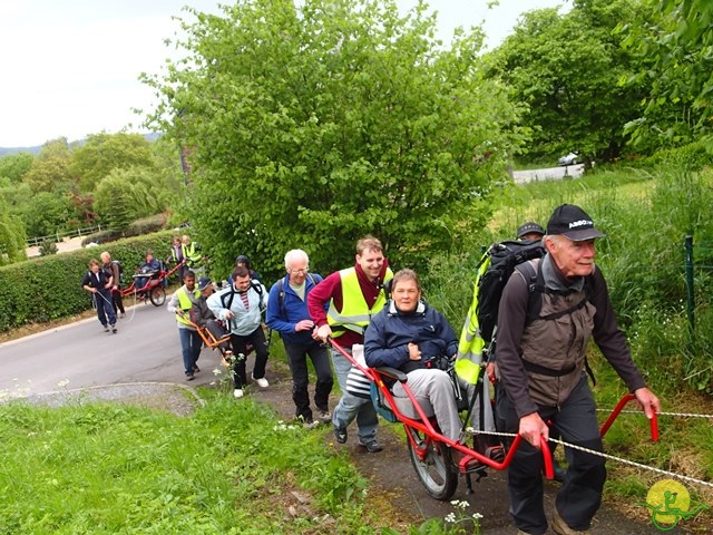 randonnée sportive avec joëlettes, Tilff, 2014