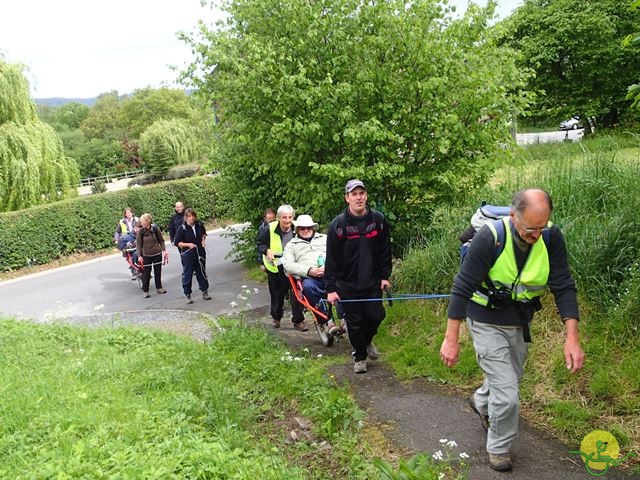 randonnée sportive avec joëlettes, Tilff, 2014