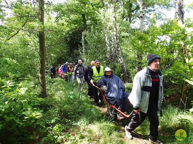 randonnée sportive avec joëlettes, Tilff, 2014