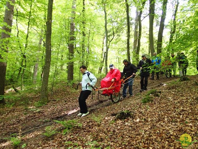 randonnée sportive avec joëlettes, Tilff, 2014