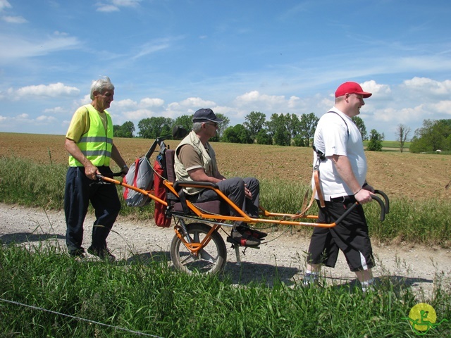 randonnée sportive avec joëlettes, Florennes, 2014