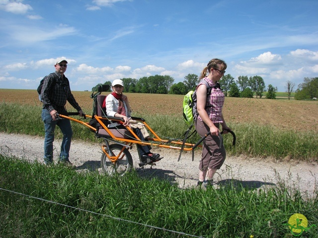 randonnée sportive avec joëlettes, Florennes, 2014