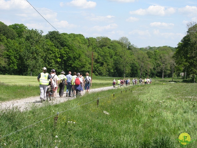 randonnée sportive avec joëlettes, Florennes, 2014