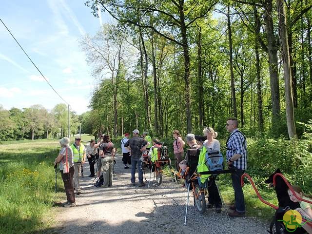 randonnée sportive avec joëlettes, Florennes, 2014