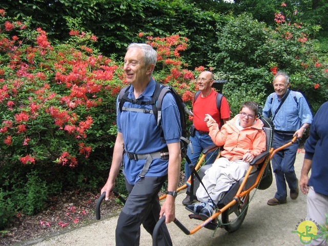 randonnée joëlettes, Chevetogne, 2014