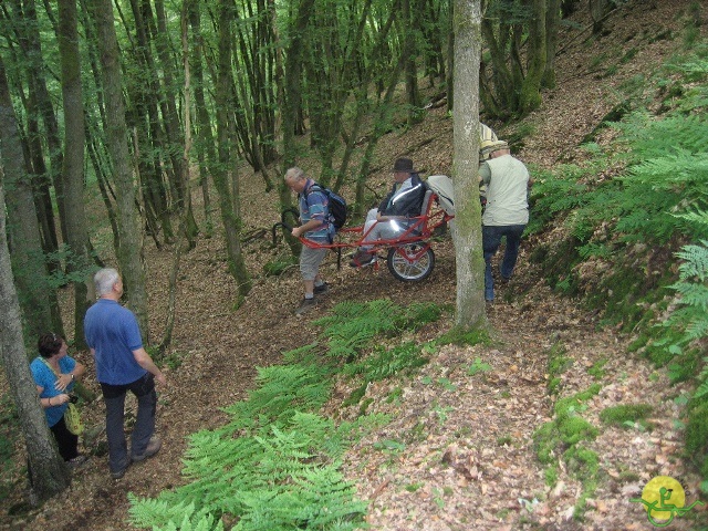 randonnée joëlettes, Chevetogne, 2014