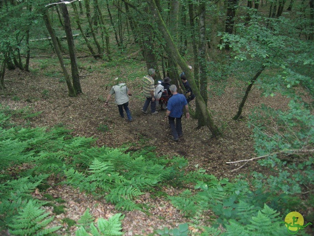 randonnée joëlettes, Chevetogne, 2014