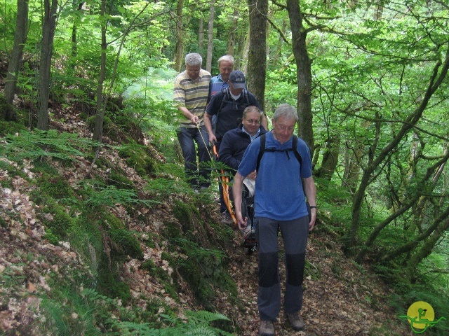 randonnée joëlettes, Chevetogne, 2014