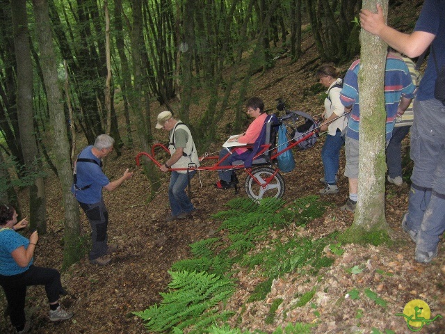 randonnée joëlettes, Chevetogne, 2014