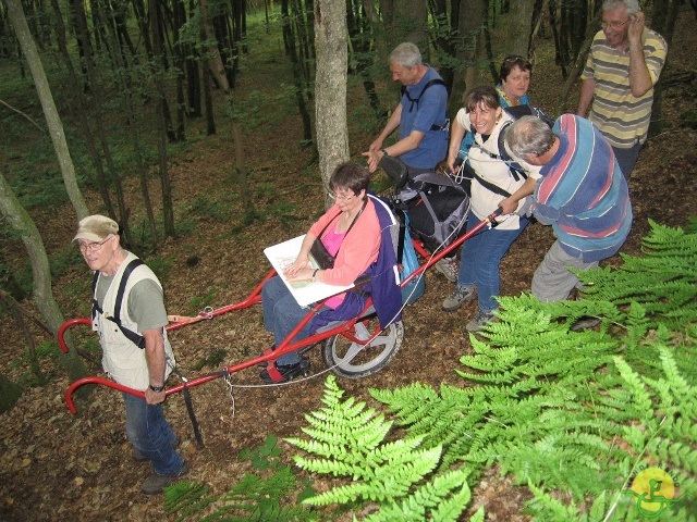 randonnée joëlettes, Chevetogne, 2014