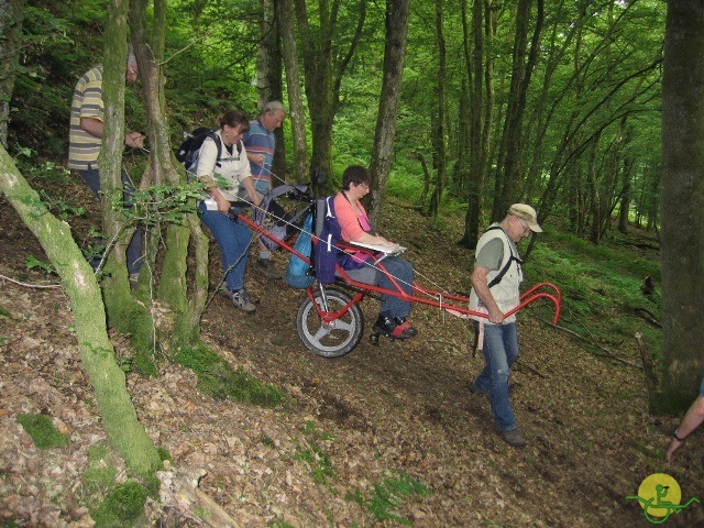 randonnée joëlettes, Chevetogne, 2014