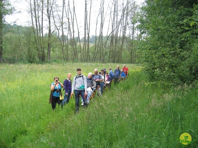 randonnée joëlettes, Chevetogne, 2014