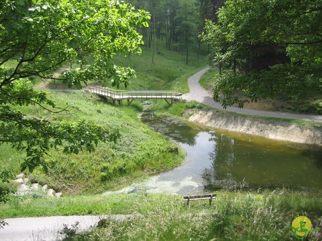 randonnée joëlettes, Chevetogne, 2014