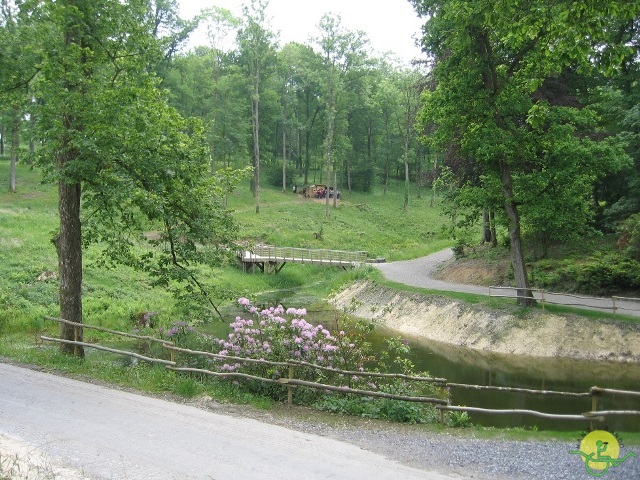 randonnée joëlettes, Chevetogne, 2014