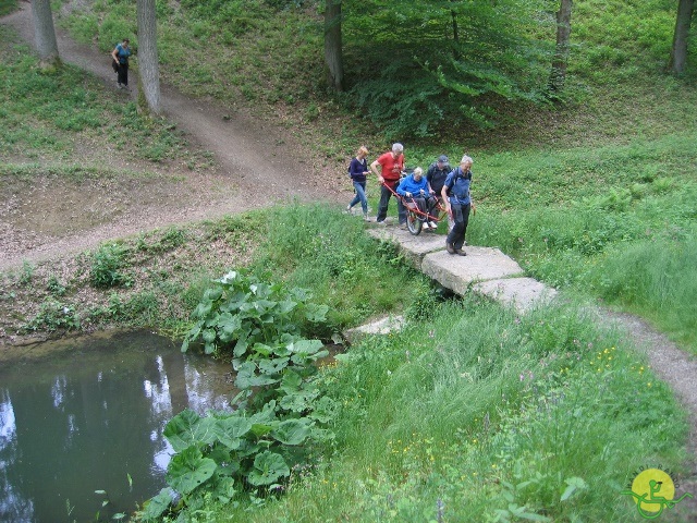 randonnée joëlettes, Chevetogne, 2014