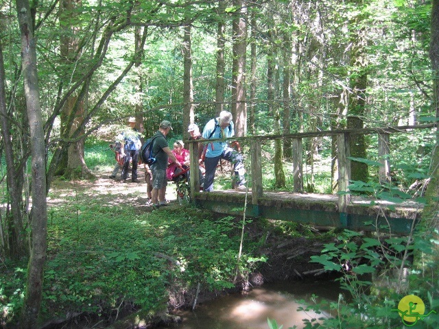 randonnée joëlettes, Chevetogne, 2014