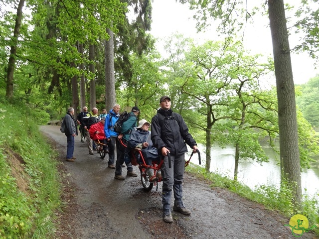 randonnée sportive avec joëlettes, Chevetogne, 2014