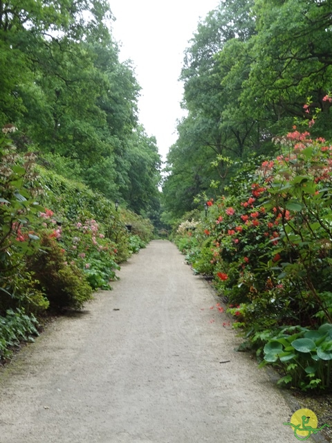 randonnée sportive avec joëlettes, Chevetogne, 2014