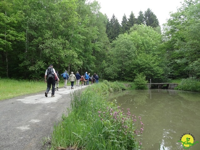 randonnée sportive avec joëlettes, Chevetogne, 2014